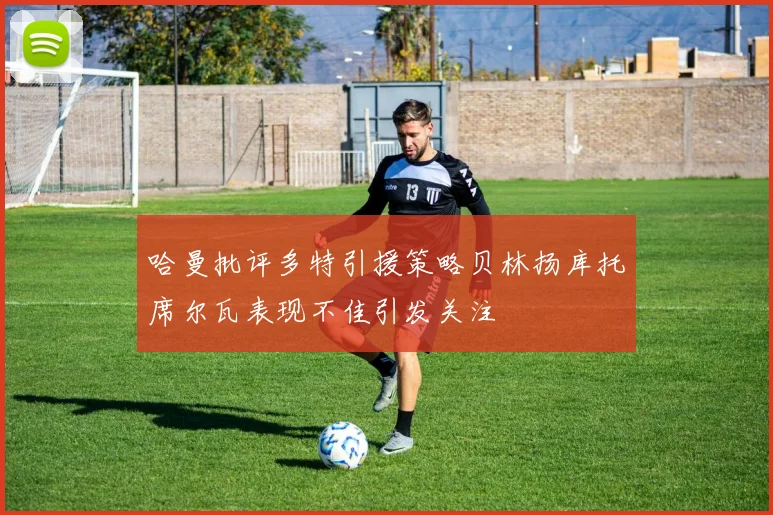 哈曼批评多特引援策略贝林扬库托席尔瓦表现不佳引发关注