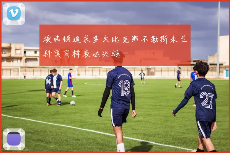 埃弗顿追求多夫比克那不勒斯米兰科莫同样表达兴趣